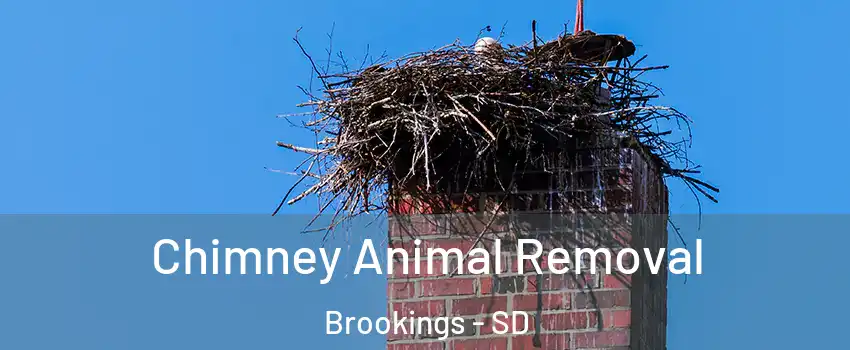 Chimney Animal Removal Brookings - SD