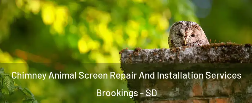  Chimney Animal Screen Repair And Installation Services Brookings - SD