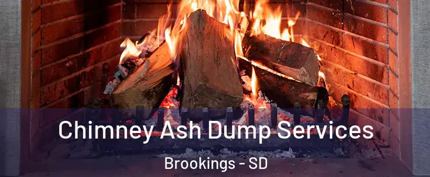  Chimney Ash Dump Services Brookings - SD