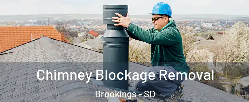  Chimney Blockage Removal Brookings - SD