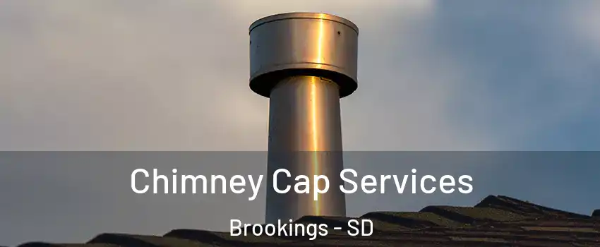  Chimney Cap Services Brookings - SD