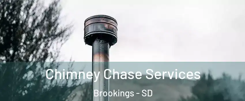  Chimney Chase Services Brookings - SD