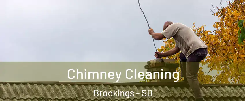  Chimney Cleaning Brookings - SD
