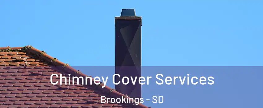  Chimney Cover Services Brookings - SD
