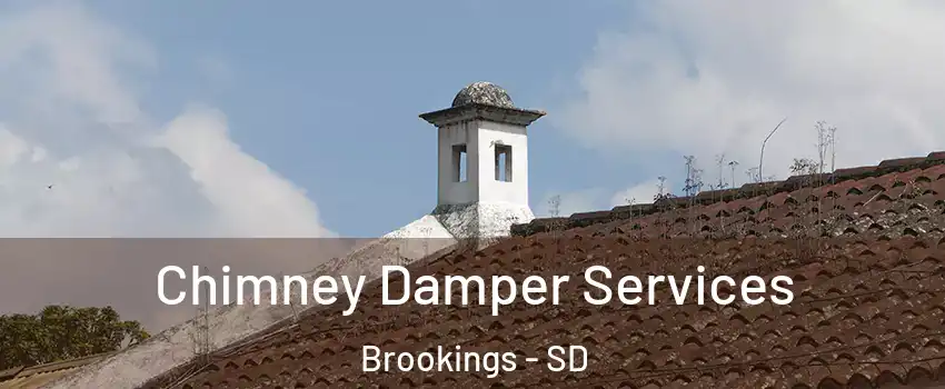 Chimney Damper Services Brookings - SD