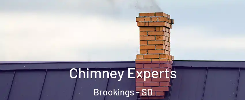  Chimney Experts Brookings - SD