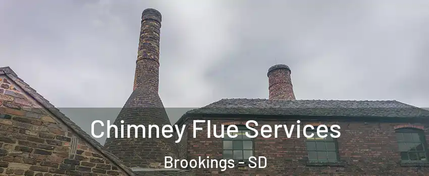  Chimney Flue Services Brookings - SD