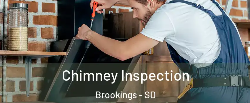  Chimney Inspection Brookings - SD