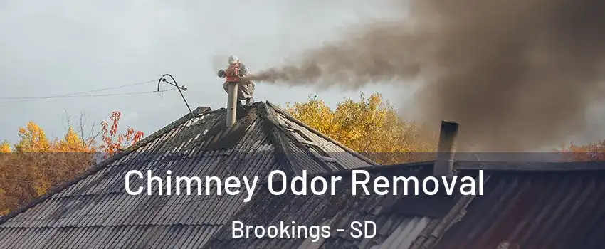  Chimney Odor Removal Brookings - SD
