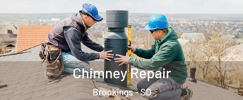  Chimney Repair Brookings - SD