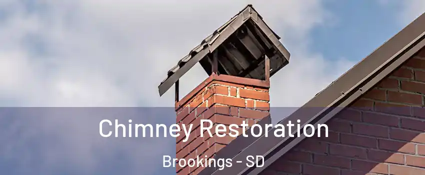  Chimney Restoration Brookings - SD