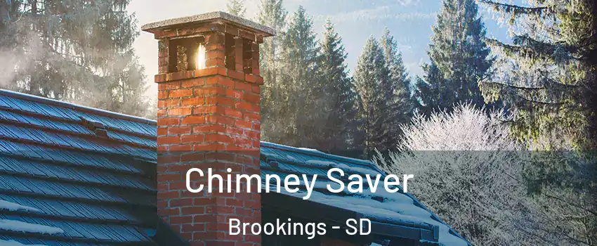 Chimney Saver Brookings - SD