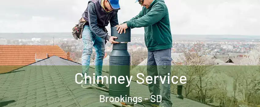  Chimney Service Brookings - SD