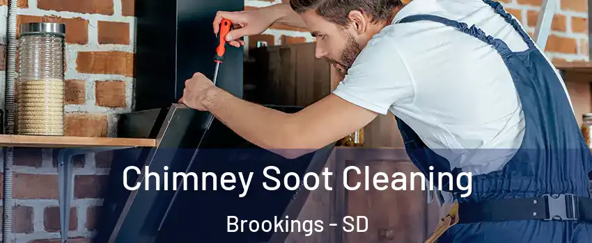  Chimney Soot Cleaning Brookings - SD
