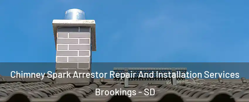  Chimney Spark Arrestor Repair And Installation Services Brookings - SD