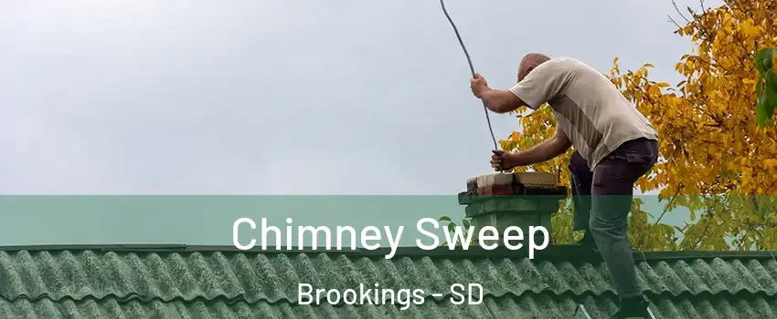  Chimney Sweep Brookings - SD