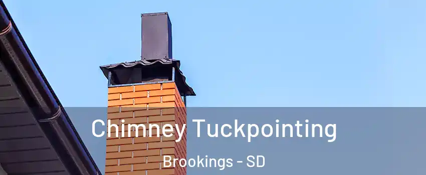  Chimney Tuckpointing Brookings - SD