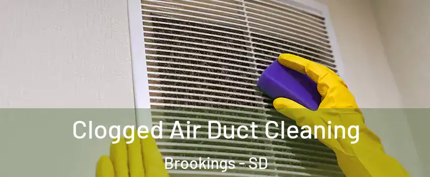  Clogged Air Duct Cleaning Brookings - SD