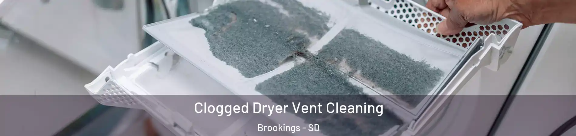  Clogged Dryer Vent Cleaning Brookings - SD