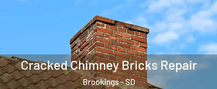  Cracked Chimney Bricks Repair Brookings - SD