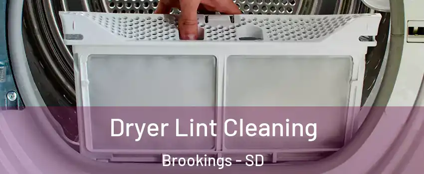  Dryer Lint Cleaning Brookings - SD