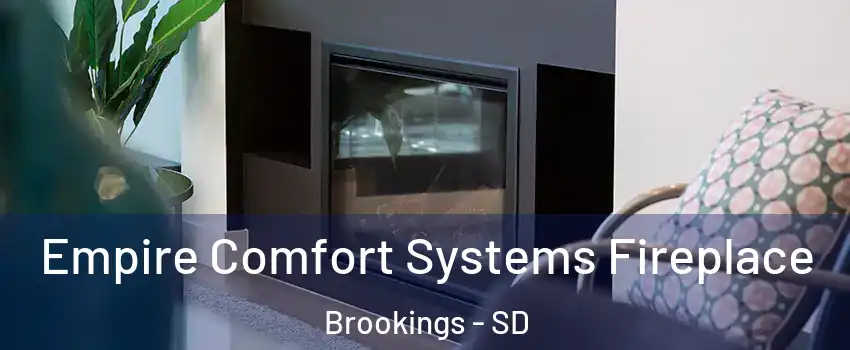  Empire Comfort Systems Fireplace Brookings - SD