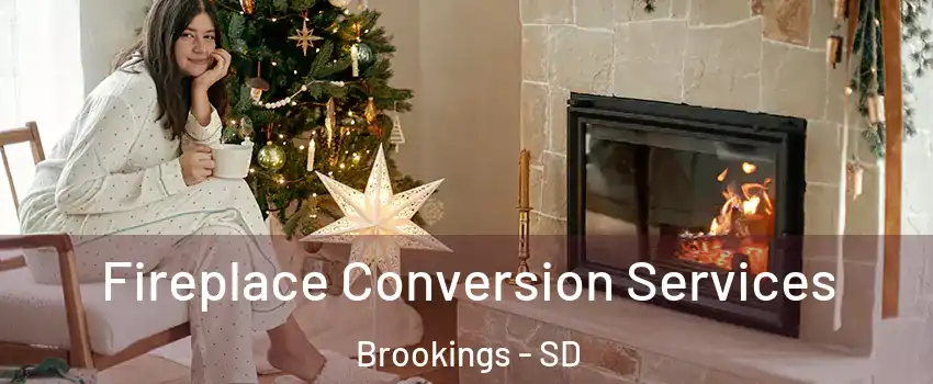  Fireplace Conversion Services Brookings - SD