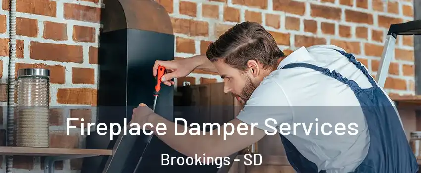  Fireplace Damper Services Brookings - SD