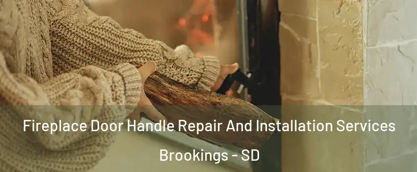  Fireplace Door Handle Repair And Installation Services Brookings - SD