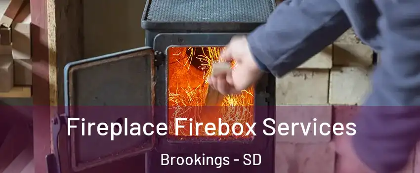  Fireplace Firebox Services Brookings - SD