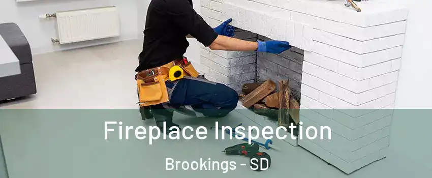  Fireplace Inspection Brookings - SD