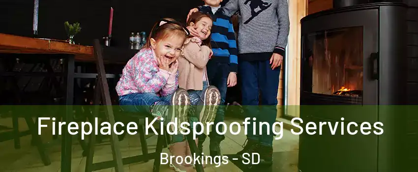  Fireplace Kidsproofing Services Brookings - SD