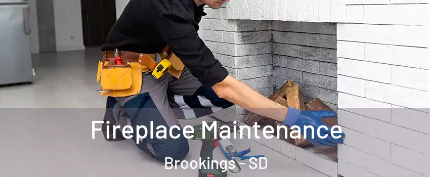  Fireplace Maintenance Brookings - SD
