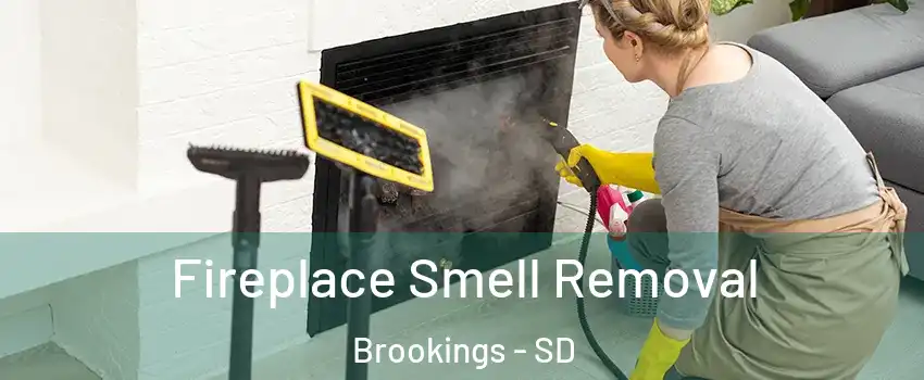  Fireplace Smell Removal Brookings - SD