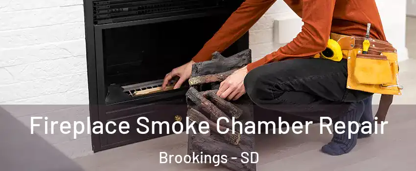  Fireplace Smoke Chamber Repair Brookings - SD