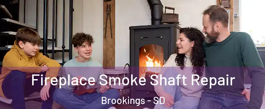  Fireplace Smoke Shaft Repair Brookings - SD