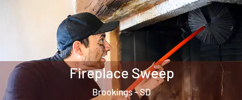  Fireplace Sweep Brookings - SD