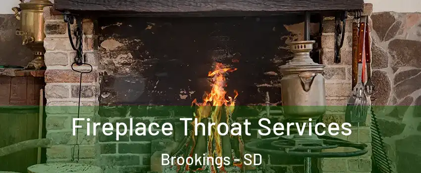  Fireplace Throat Services Brookings - SD