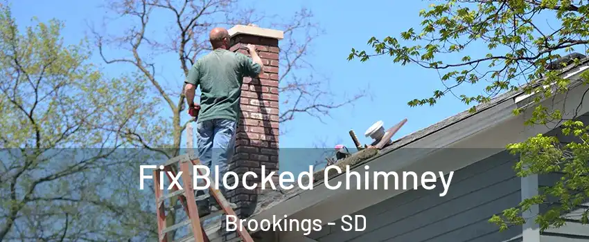  Fix Blocked Chimney Brookings - SD