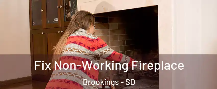  Fix Non-Working Fireplace Brookings - SD