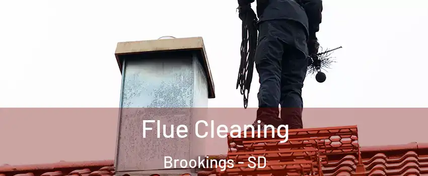  Flue Cleaning Brookings - SD