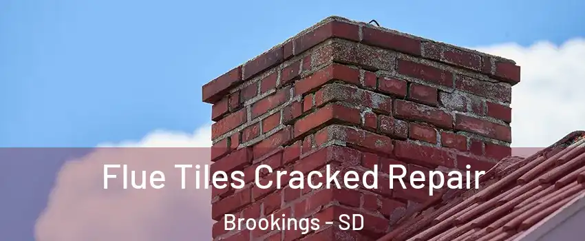  Flue Tiles Cracked Repair Brookings - SD
