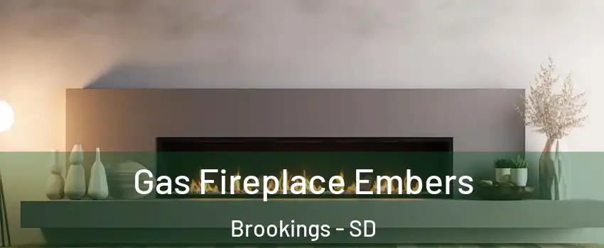  Gas Fireplace Embers Brookings - SD