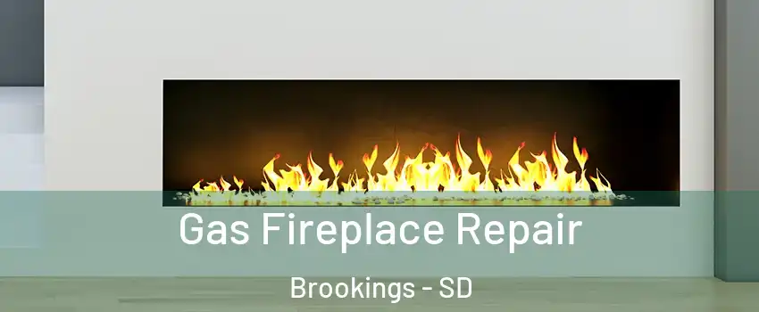 Gas Fireplace Repair Brookings - SD