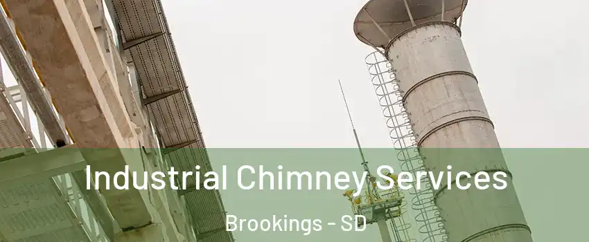  Industrial Chimney Services Brookings - SD