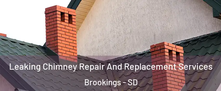  Leaking Chimney Repair And Replacement Services Brookings - SD