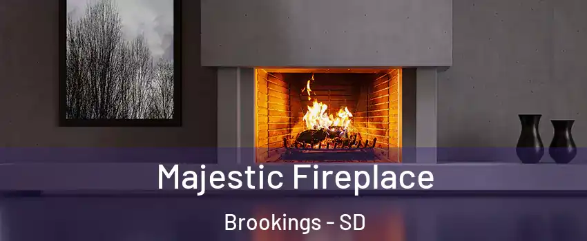  Majestic Fireplace Brookings - SD