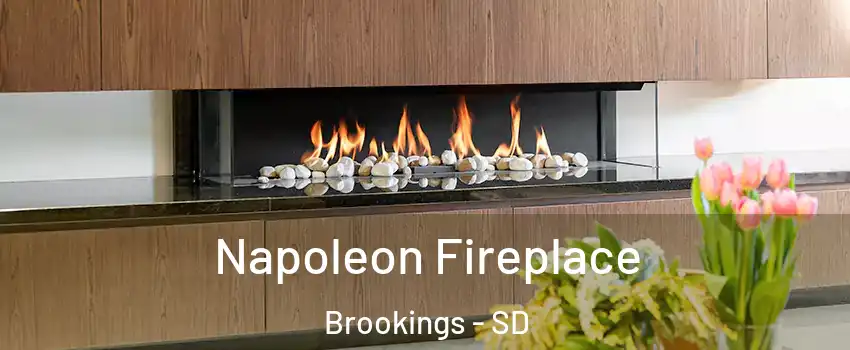  Napoleon Fireplace Brookings - SD