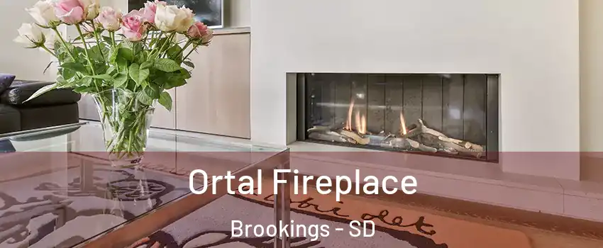  Ortal Fireplace Brookings - SD
