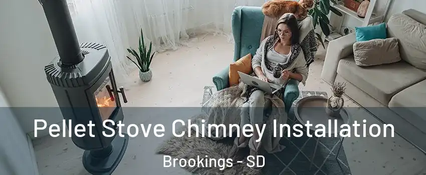  Pellet Stove Chimney Installation Brookings - SD